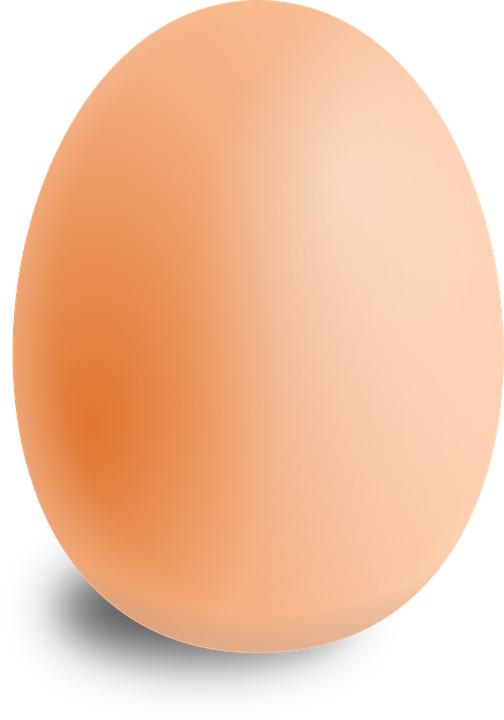 Eier 30 Stück Größe M Freiland